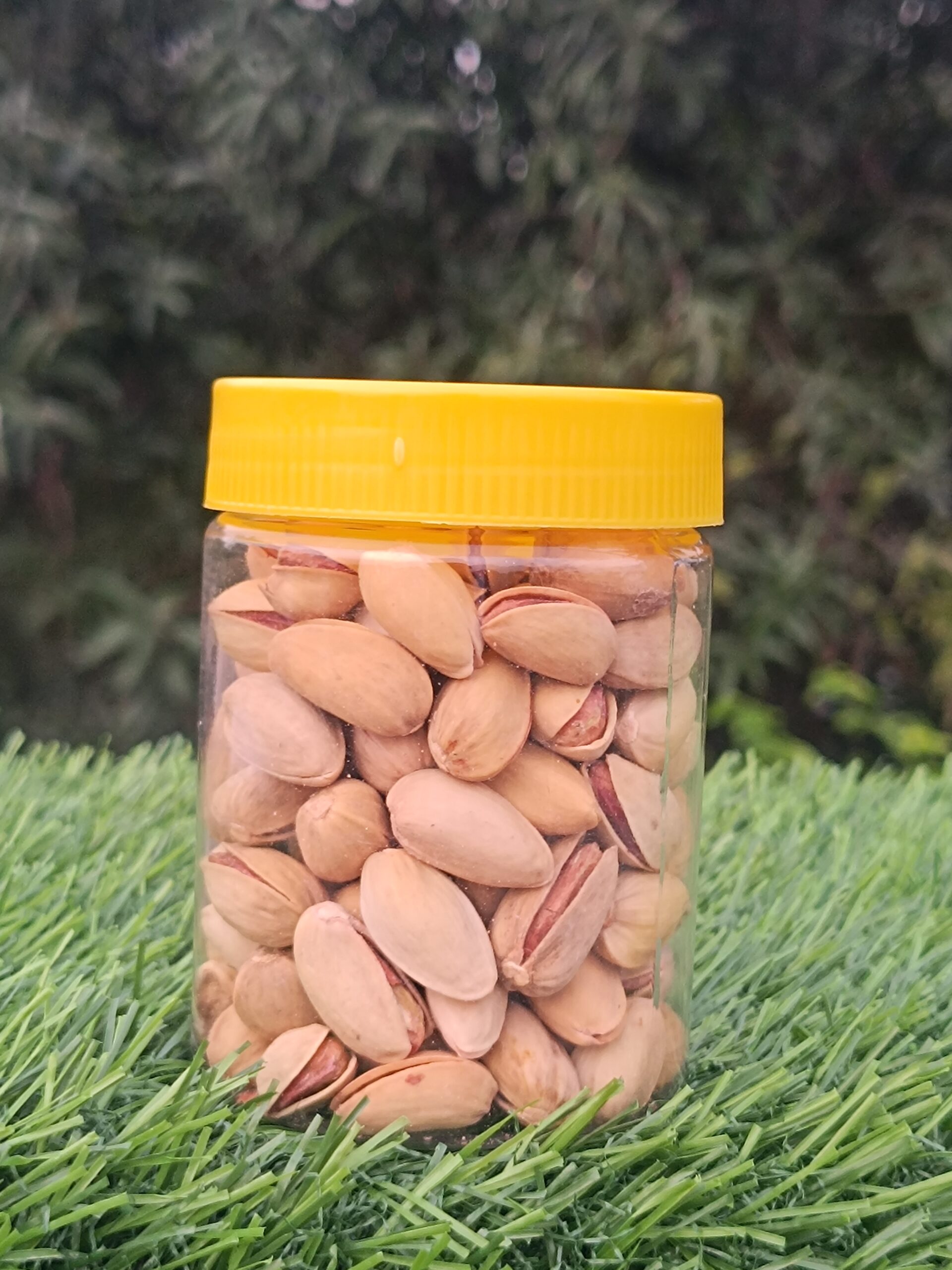 salte pista salted roasted pista